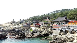 2023/韓國🇰🇷釜山海東龍宮寺之美📿