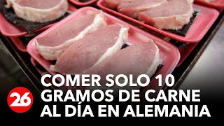 Alemania quiere que los ciudadanos coman solo 10 gramos de carne al día