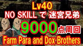 迷宮兄弟周回スキルなし‼ Para and Dox Brothers high score farm【遊戯王 デュエルリンクス】【Yu-Gi-Oh! Duel Links】LV40