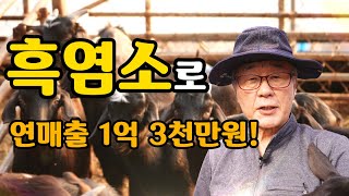 [역전의부자농부 328회] 흑염소로 연 매출 1억 3천만원! 전북 부안 지용국 부자농부