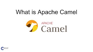 What Is Apache Camel?