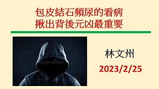 包皮結石頻尿的看病揪出背後元凶最重要─林文州20230225