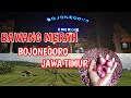 bawang merah bojonegoro | daerah petani komoditas bawang merah di jawa timur