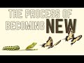 The Process of Becoming New | Pastor Paul Sheppard | July 3rd Sunday Worship Service