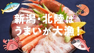 行きたい 食べたい 日本海！キャンペーン②