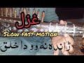 pashto ghazal randha na wo da khalq