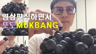 포도 먹으면서 영상편집중 ASMR MUKBANG FRUIT GRAPE (feat. MSTONE Groove T Keyboard Sound)