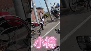 20240829【スー バイクチャンネル】  小樽 人力車女子 Rickshaw by the female driver #shorts