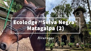 【ニカラグア】馬に乗ってみた！～ゆったり過ごせる人気エコロッジ「Selva Negra」（Part2）／Ecolodge Selva Negra, Horse riding／