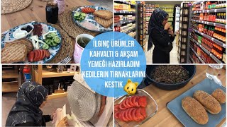 MARKETTE İLGİNÇ ÜRÜNLER KEŞFETTİK 😳 - KAHVALTI \u0026 AKŞAM YEMEĞİ HAZIRLADIM - KENDİMİZİ ÖDÜLLENDİRDİK