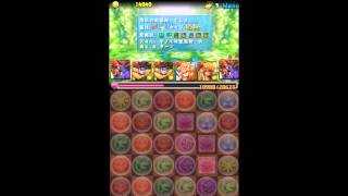 【パズドラ】ヨルズ降臨　降臨+10倍　超地獄級　「高速周回」　(シヴァ＝ドラゴンパ)