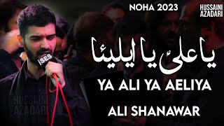 Ya Ali Ya Aeliya | Ali Shanawar Live Noha | nadeem sarwar live 2023 | New Noha 2023