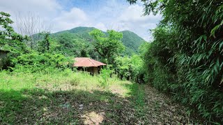 주인님 떠난지 얼마지나지 않은 빈집  an empty house mountain village Korea 🇰🇷 ♥️