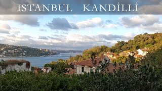 Rengarenk Kandilli Sokakları ve Kandilli İskelesi / İstanbul Walking Tour