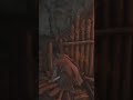 シラフジ戦前の検証結果w 隻狼 sekiro shorts