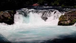 White Salmon Carnage at Husum Falls (Summer 2019)