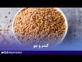 کالاهای پرسود وارداتی از روسیه