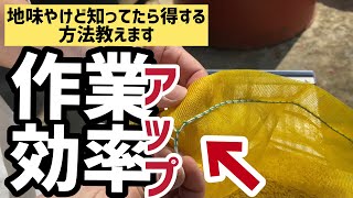 農家なら知ってる！地味だけど作業効率アップ方法！このヒモのほどき方教えます！（RICE IS COMEDY®︎）