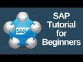 SAP Tutorial for Beginners