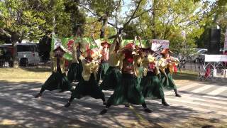 紀道　ゑぇじゃないか祭り　りんくう園屋会場