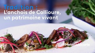 Tradition : l'anchois de Collioure, un patrimoine vivant