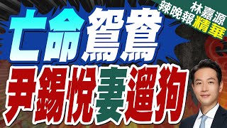 尹錫悅被捕金建希疑被拍到官邸「照常遛狗」 學位恐遭撤銷｜亡命鴛鴦 尹錫悅妻遛狗｜介文汲.苑舉正.張延廷深度剖析【林嘉源辣晚報】精華版    @中天新聞CtiNews