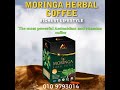 moringa herbal coffee