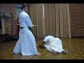 2010 corecon agassiz moorhead dojo iaido demo group and explanations