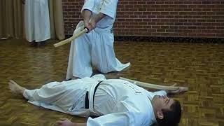 2010 CoreCon Agassiz (Moorhead) Dojo Iaido Demo - Group and Explanations