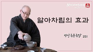 알아차림(마음챙김)의 효과ㅣ명상 즉문즉답 251회ㅣ혜안스님