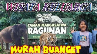 RAGUNAN MURAH BUANGET | Taman Wisata Keluarga 2024 ,#youtube ,#ragunanzoo ,#jakartaselatan ,#wisata