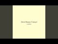 Silver Breeze Tranquil