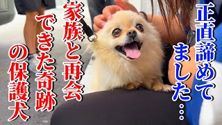 保護犬との最後のお別れ…さよなら、ピース…