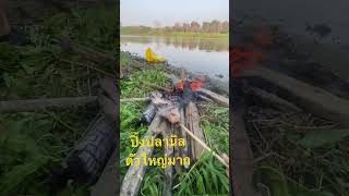 #shortvideo #shorts #หมายตกปลาธรรมชาติ #fishing #daiwa #shimano #shimano