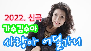 사랑아 어딜가니  2022김수아신곡