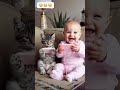 bak hele 😄 travel shortvideo trend comedy funny cat pets memes cute animals