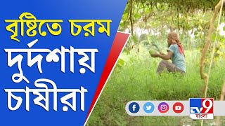 জেলা থেকে বলছি | অবিরাম বৃষ্টিতে কী অবস্থায় গ্রামের চাষীরা?