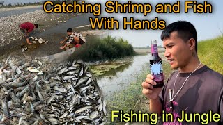 Fishing in Jungle 🐟|| Catching Shrimp and Fish With Bare Hands || Cooking and Eating🤤