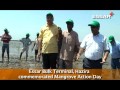 essar bulk terminal hazira commemorated mangrove action day