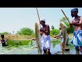 Fish Catching and Cooking | Viral Meen Kulambu | Snakehead Murrel Fish Curry Recipe | Village Food