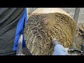 woodturning a big cowboy 🤠 hat. part 1 woodturning carbide chisels