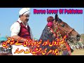 Horse Lover Of Pakistan | Chaudhary Jamshaid Nawaz of Hassar | Tent Pegging Special