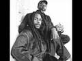 steel pulse - stepping out