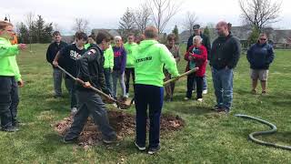 Tree planting in Canandaigua