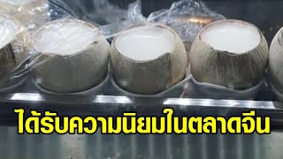 'มะพร้าวน้ำหอมไทย' ม้ามืดตลาดจีน นำเข้าเกือบ 3 หมื่นตู้คอนเทนเนอร์