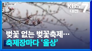 벚꽃 없는 벚꽃축제…축제장마다 ‘울상’ / KBS  2024.03.28.