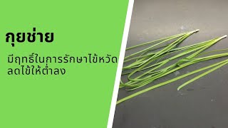 ประโยชน์ของกุยช่าย | Garlic Chives | กินผักเป็นยา