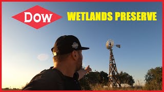 Exploring The Corteva Wetlands Preserve (Formerly Dow Wetlands) * A Bird Watchers Paradise!