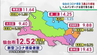 仙台市の新型コロナ感染者数　３週ぶりに増加　１医療機関当たり１２．５２人