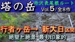 塔ノ岳登山Vol.５/８　行者岳～新大日　絶壁と絶景！